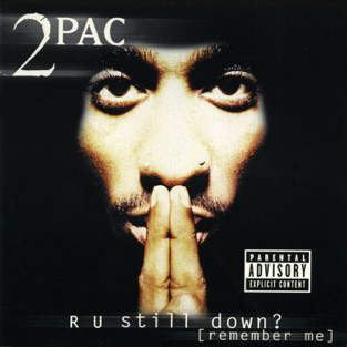 Rap & Hip Hop